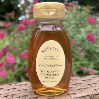 local raw honey from dahlonega georgia 8oz