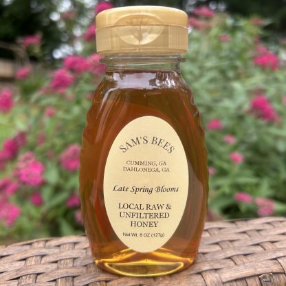local raw honey from dahlonega georgia 8oz